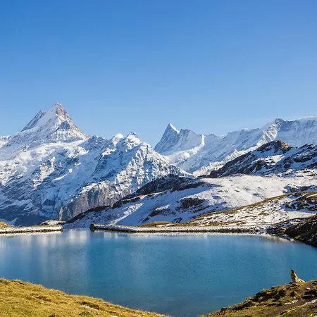 Guardian Gate Iseltwald